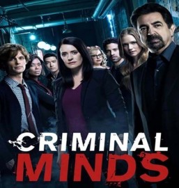 Criminal Minds Serie Completa Dubladas Entrega Digital